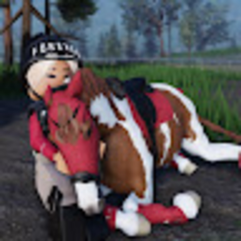 Meet your Posher, Ariana